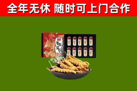饶阳回收冬虫夏草价格